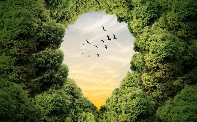 Green location symbol of pin. A green forest shape on location pin concept of green place for tourist or visit. Green Destination