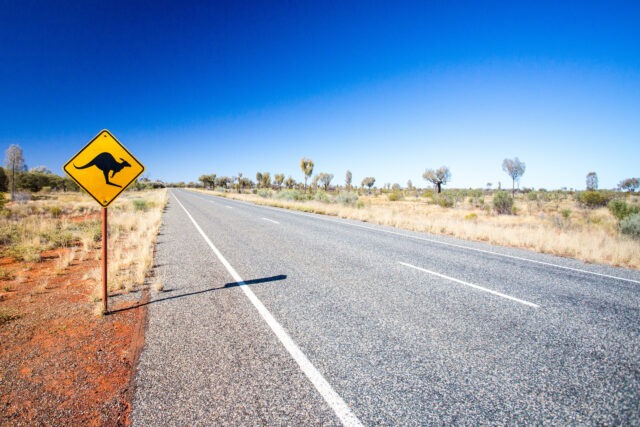 An iconic warning road sign for kangaroos near Uluru in Northern Territory, Australia