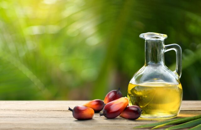 Palm oil and fresh palm nuts on wooden table with blurred plam plant background.