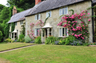 Rural Cottage and Garden with potential septic tank issues.